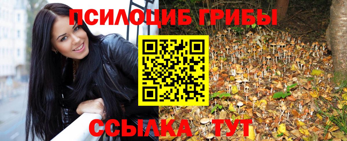 Псилоцибиновые грибы Psilocybe Приморско-Ахтарск
