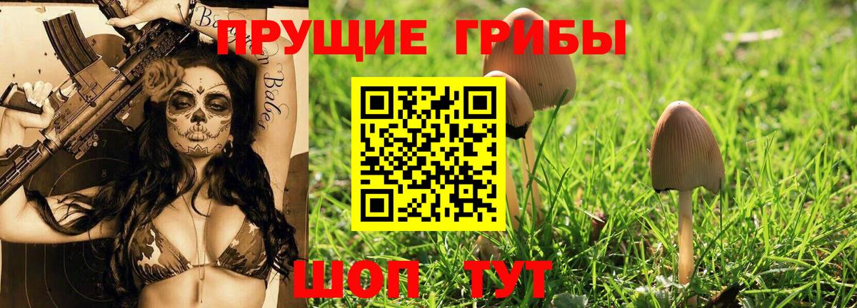 Псилоцибиновые грибы Psilocybine cubensis  Псилоцибиновые грибы мицелий  Вход с VPN  Приморско-Ахтарск 